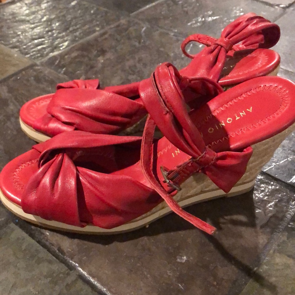 Red wedges